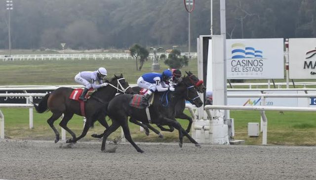 Hay actividad para rato