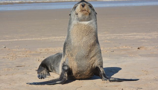 Se mira y no se toca