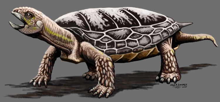 La abuelita de Manuelita