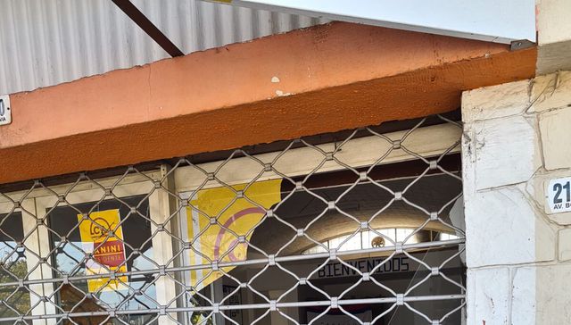 Las invasiones vándalas