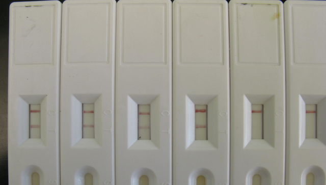 Ciencia nuestra de cada día