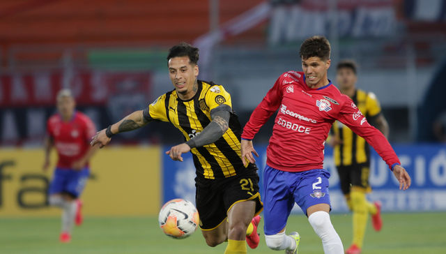 Al fondo de la bolsa