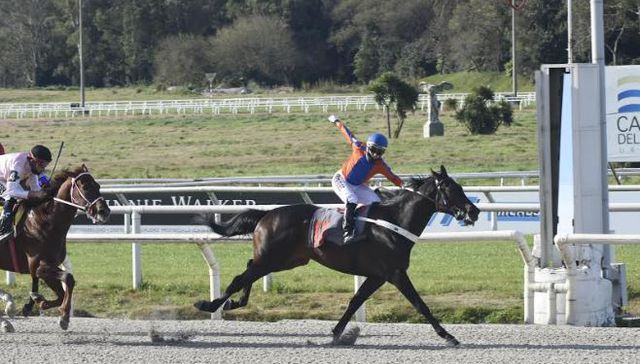 de éxitos sorpresivos