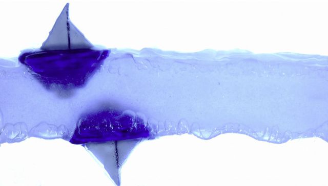 Dado vuelta estás vos