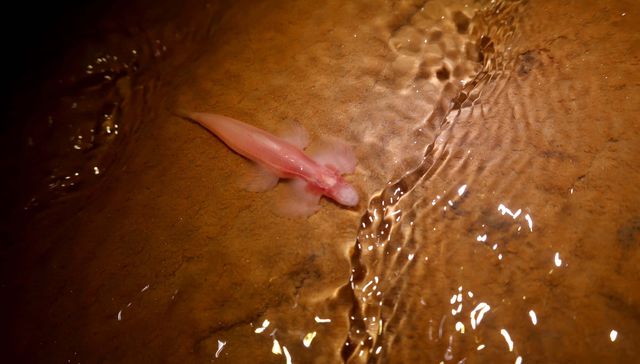 Un poquito caminando