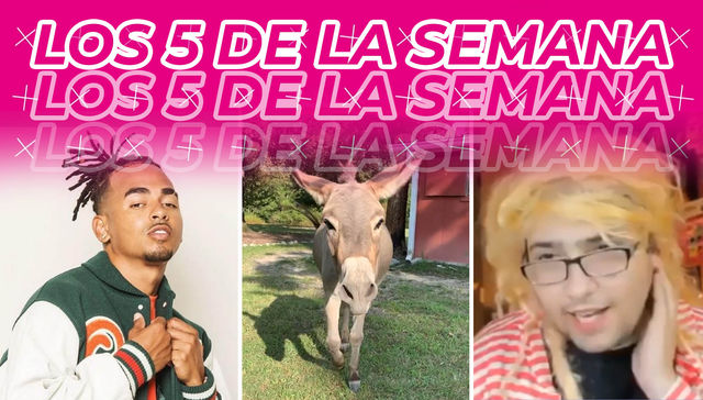 Los cinco de la semana