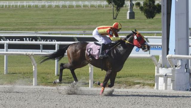 Vuelta a las canchas