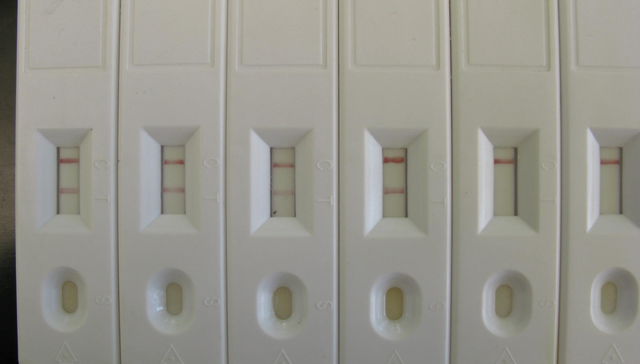 Ciencia nuestra de cada día