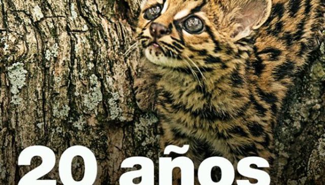 Montes del Plata celebra 20 años del Bioparque M'Bopicuá con una campaña especial