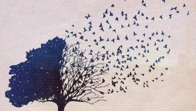 Escribe Esteban Valenti