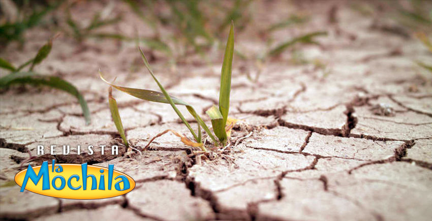 Cuando falta el agua