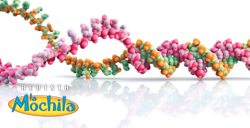 ¿De qué estamos hechos?