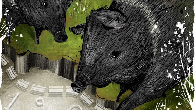 Un largo regreso a casa