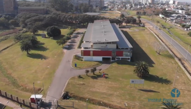 La ciencia detrás de la pandemia