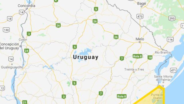 Se te vuela la peluca