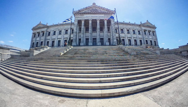 Legislando a lo Rocky Balboa