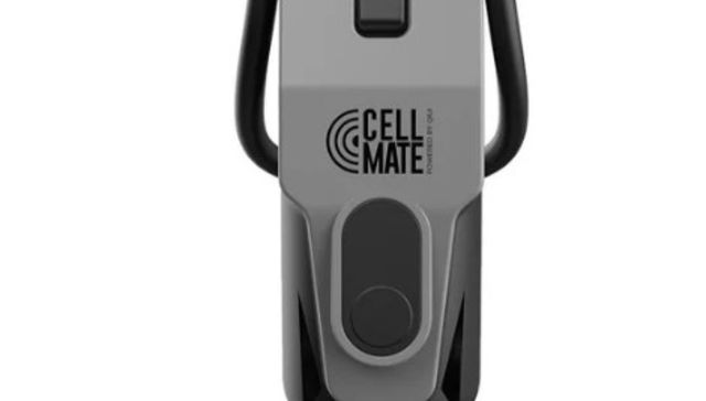 Destornillador en mano