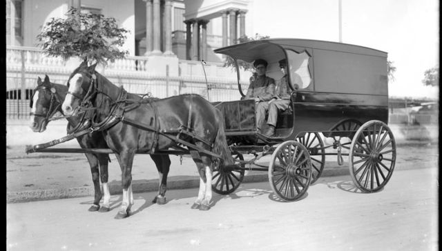 Esta extraña influenza