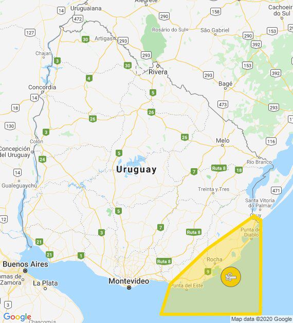 Se te vuela la peluca