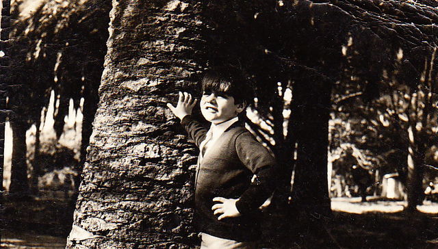 Columna de Alvaro ahunchain