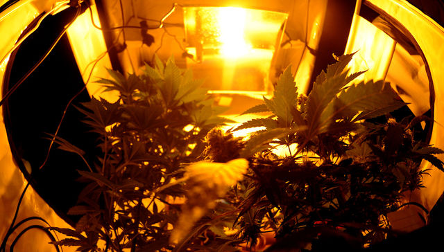 Y una china pa'l canuto de hachís