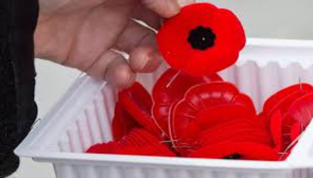 Una amapola me lo dijo ayer