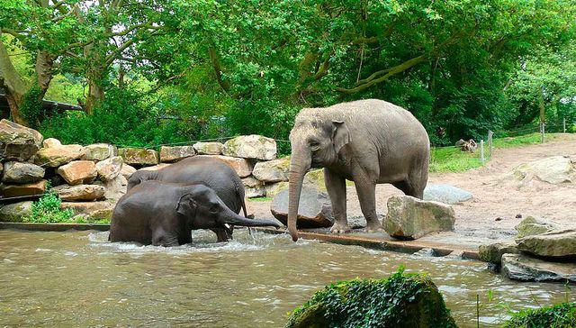 A Juan Verdaguer le gusta esto