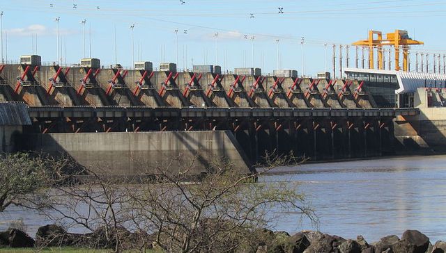 Que crezca el cucumelo