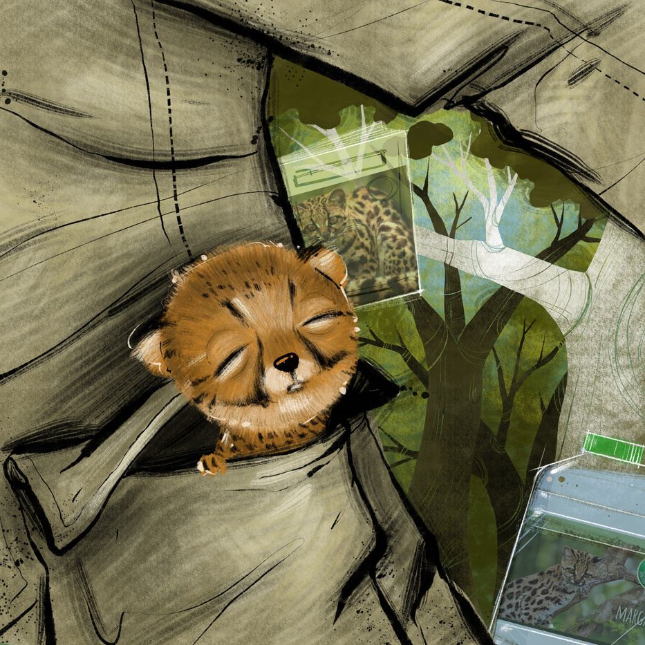 El secreto de sus ojos