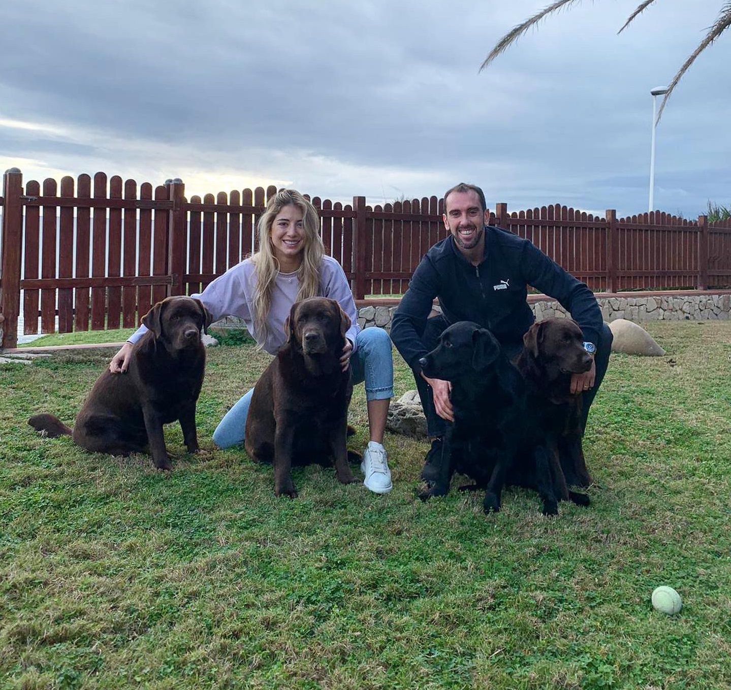 Merry Christmas greetings from Diego Godín, Luis Suárez and Fernando Muslera