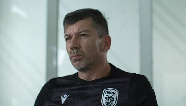Canario para rato