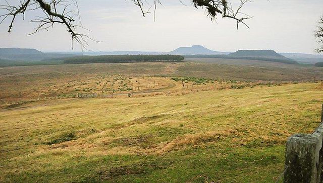 Escribe Sergio Botana