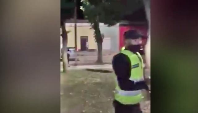 Otro día en Springfield