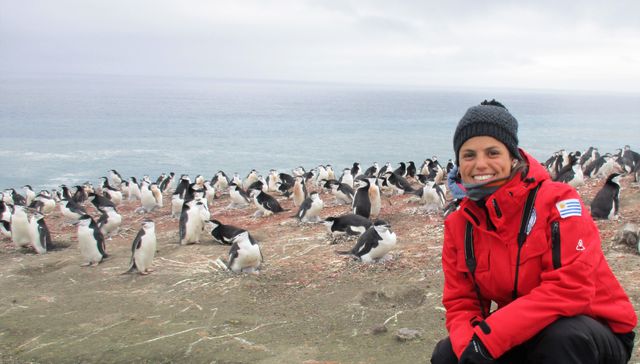 La marcha de los pingüinos