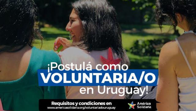 VOLUNTARIADO PROFESIONAL