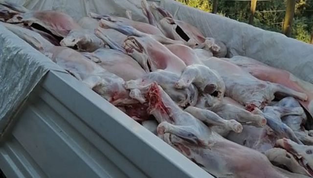 Con las manos en la masa