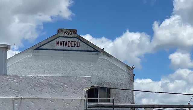 A una vaca no le gusta esto