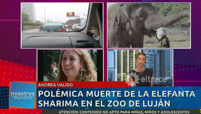 Donde van a morir los elefantes