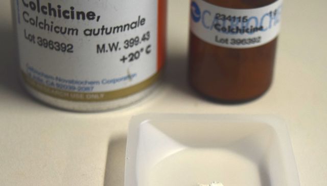 La gota que derrama el virus