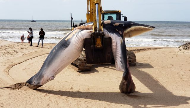 La muerte es un asunto solitario