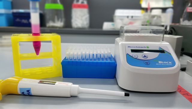 Para atrás todo lo necesario