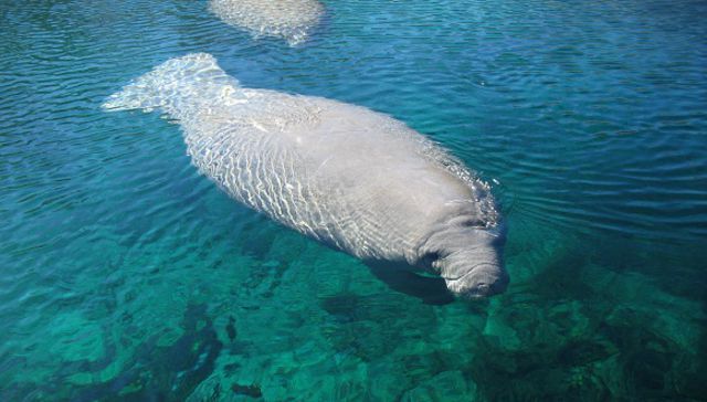 ¿Quién se hace cargo?