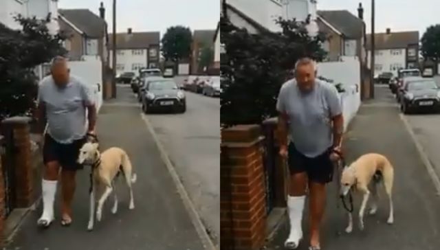 Amigos son los amigos