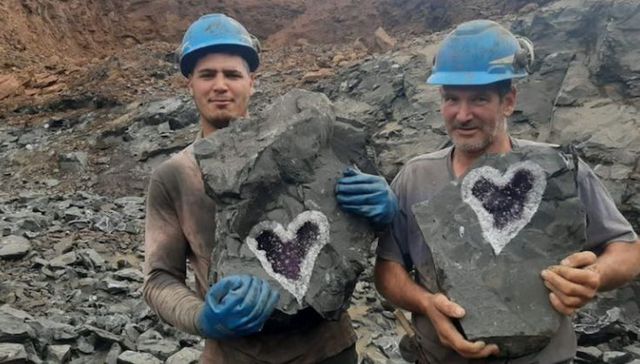 Trepa y trepa con la violeta
