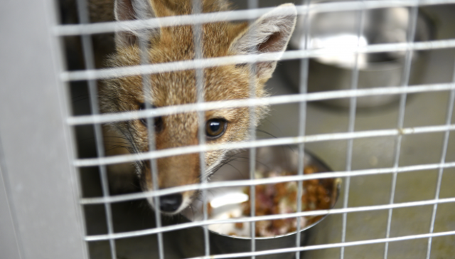 No hay hogar como tu hogar