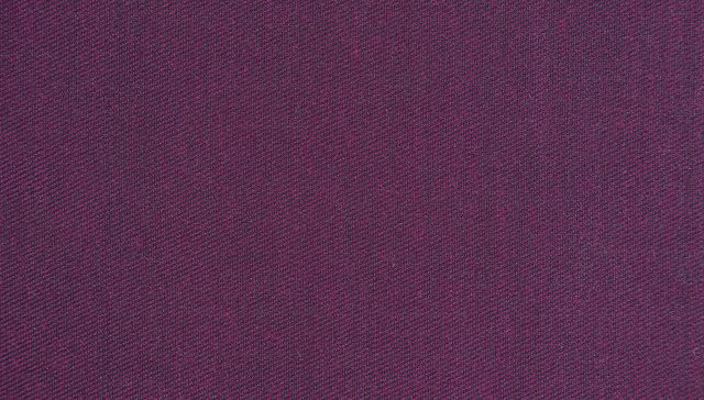 Se vestía de púrpura y lino