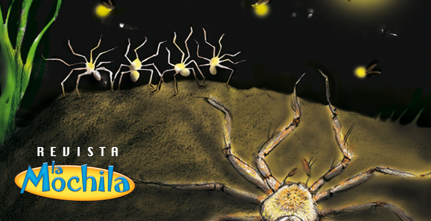 Canta, araña con arena