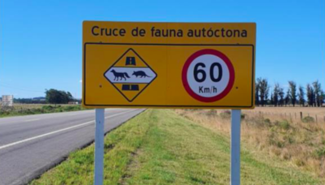 Pasaje de fauna