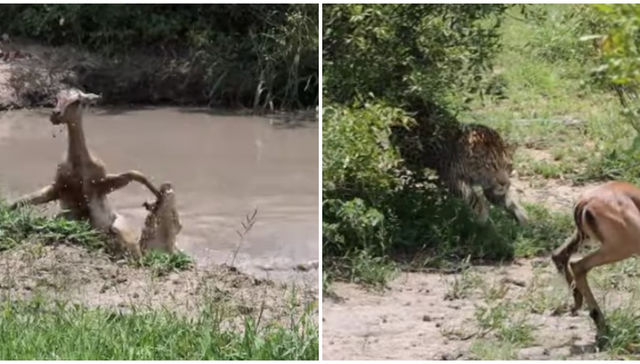 Cuando está para uno…