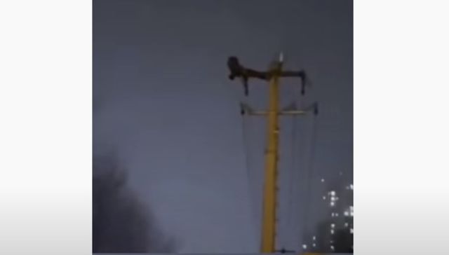 Cortaste toda la looz!